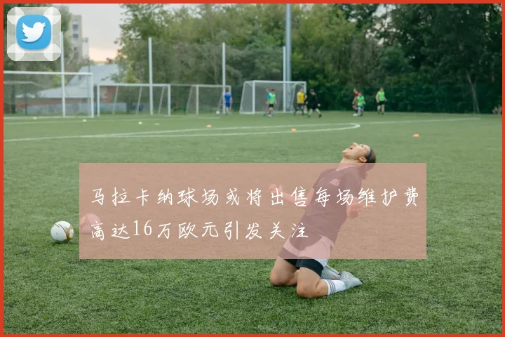 马拉卡纳球场或将出售每场维护费高达16万欧元引发关注